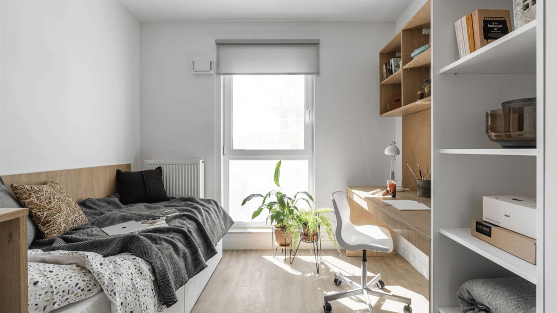 Jednoosobowe Studio Nature